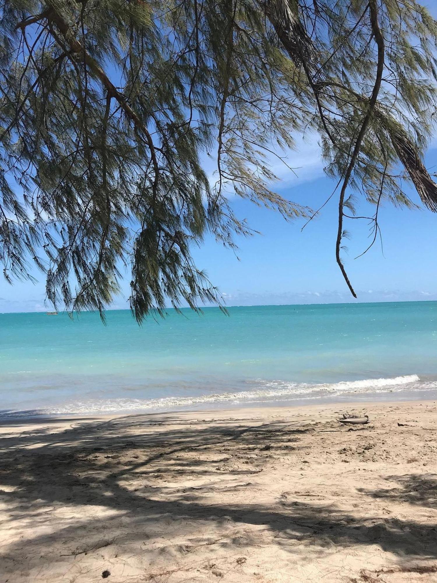 מראגוג'י Chales Praias Brasileiras מראה חיצוני תמונה